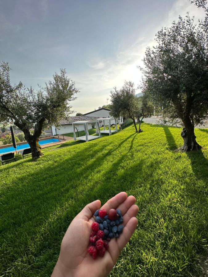 Bed & Breakfast Maison 1933 Caprino Veronese